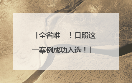 全省唯一！日照这一案例成功入选！