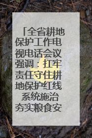 全省耕地保护工作电视电话会议强调：扛牢责任守住耕地保护红线 系统施治夯实粮食安全根基 王宁作出批示 王予波出席并讲话