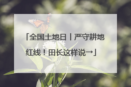 全国土地日丨严守耕地红线！田长这样说→