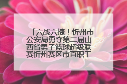 六战六捷！忻州市公安局勇夺第二届山西省男子篮球超级联赛忻州赛区市直职工组比赛冠军
