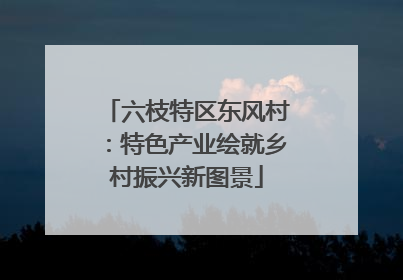 六枝特区东风村：特色产业绘就乡村振兴新图景