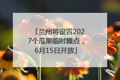 兰州将设置2027个瓜果临时摊点，6月15日开放