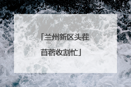 兰州新区头茬苜蓿收割忙