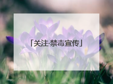 关注·禁毒宣传