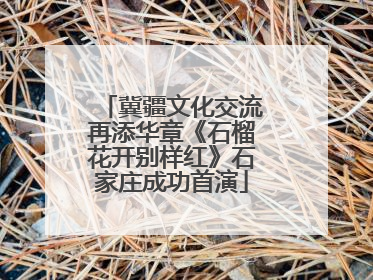 冀疆文化交流再添华章《石榴花开别样红》石家庄成功首演