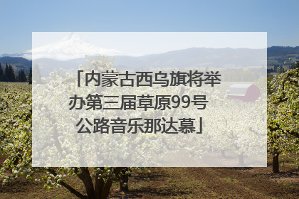内蒙古西乌旗将举办第三届草原99号公路音乐那达慕
