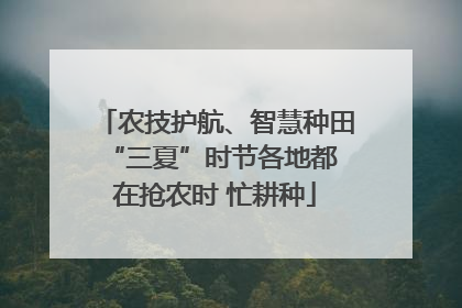 农技护航、智慧种田 “三夏”时节各地都在抢农时 忙耕种