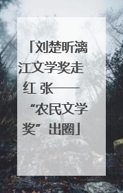 刘楚昕漓江文学奖走红 张一一“农民文学奖”出圈