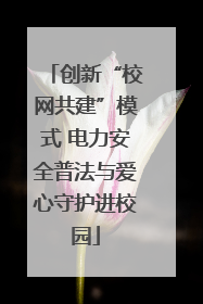 创新“校网共建”模式 电力安全普法与爱心守护进校园