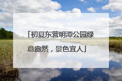 初夏东营明潭公园绿意盎然，景色宜人