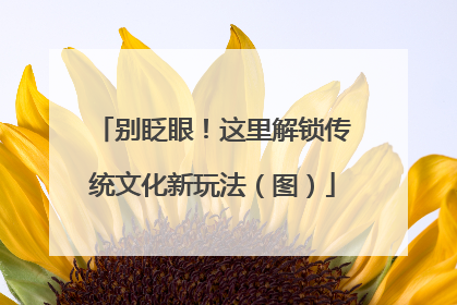 别眨眼！这里解锁传统文化新玩法（图）