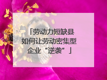 劳动力短缺县 如何让劳动密集型企业“逆袭”