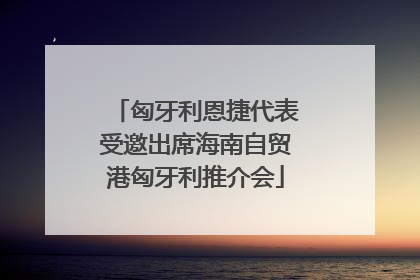 匈牙利恩捷代表受邀出席海南自贸港匈牙利推介会