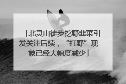 北灵山徒步挖野韭菜引发关注后续，“打野”现象已经大幅度减少