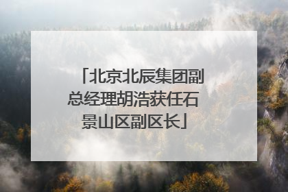 北京北辰集团副总经理胡浩获任石景山区副区长