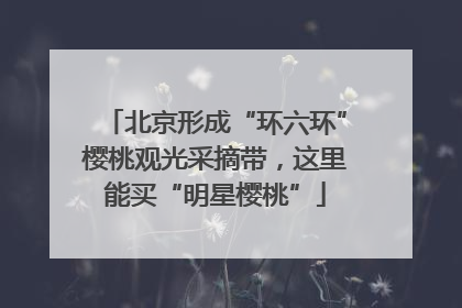 北京形成“环六环”樱桃观光采摘带，这里能买“明星樱桃”