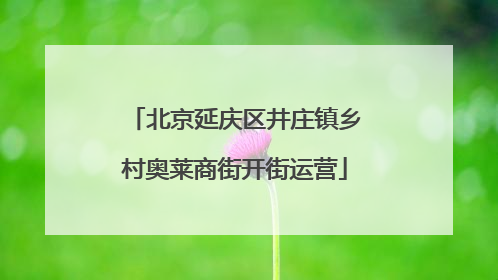 北京延庆区井庄镇乡村奥莱商街开街运营