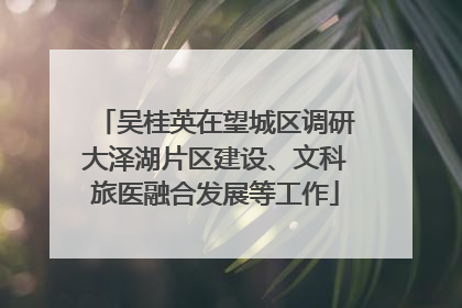 吴桂英在望城区调研大泽湖片区建设、文科旅医融合发展等工作