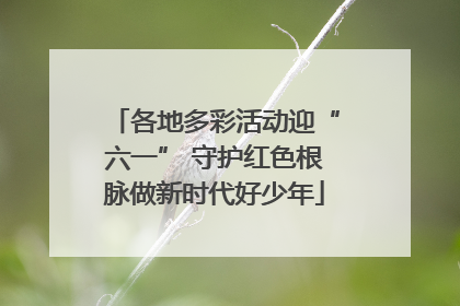 各地多彩活动迎“六一” 守护红色根脉做新时代好少年