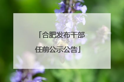合肥发布干部任前公示公告