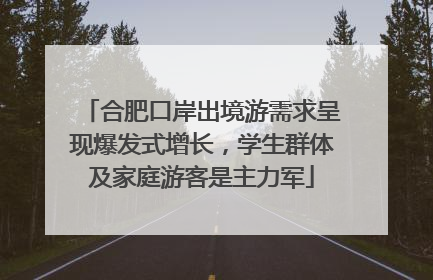 合肥口岸出境游需求呈现爆发式增长，学生群体及家庭游客是主力军