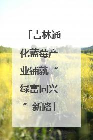 吉林通化蓝莓产业铺就“绿富同兴”新路