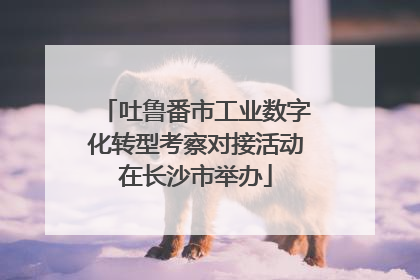吐鲁番市工业数字化转型考察对接活动在长沙市举办