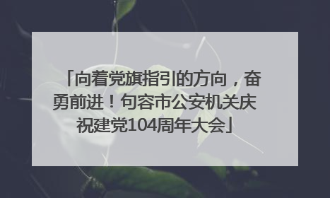 向着党旗指引的方向，奋勇前进！句容市公安机关庆祝建党104周年大会