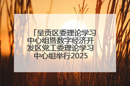 呈贡区委理论学习中心组暨数字经济开发区党工委理论学习中心组举行2025年第七次学习会议