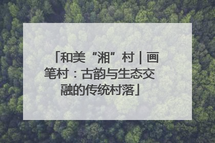 和美“湘”村｜画笔村：古韵与生态交融的传统村落