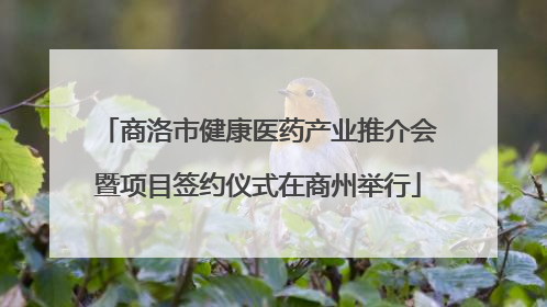 商洛市健康医药产业推介会暨项目签约仪式在商州举行