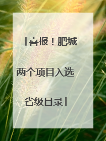 喜报！肥城两个项目入选省级目录