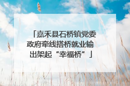嘉禾县石桥镇党委政府牵线搭桥就业输出架起“幸福桥”