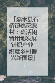 嘉禾县石桥镇桃花源村：盘活闲置用地发展针织产业 织就乡村振兴新图景