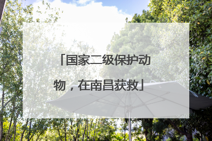 国家二级保护动物，在南昌获救