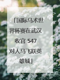 国际马术世界杯赛在武汉收官 547对人马飞跃英雄城