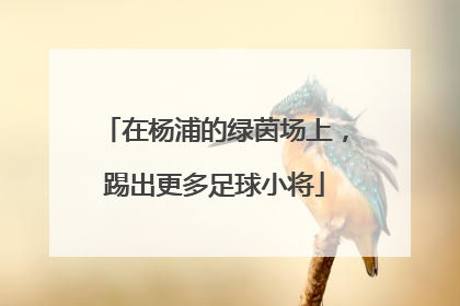 在杨浦的绿茵场上，踢出更多足球小将