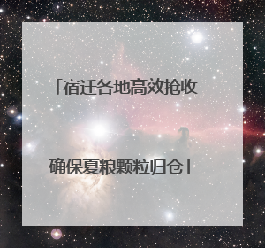 宿迁各地高效抢收 确保夏粮颗粒归仓