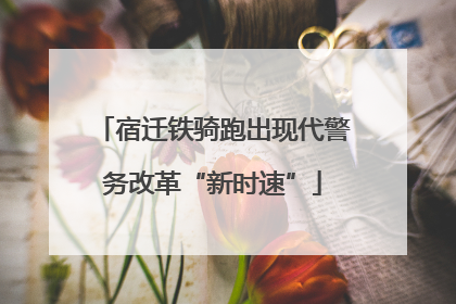 宿迁铁骑跑出现代警务改革“新时速”