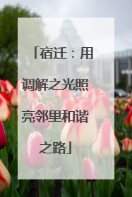 宿迁：用调解之光照亮邻里和谐之路
