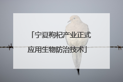 宁夏枸杞产业正式应用生物防治技术