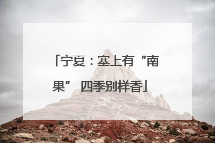 宁夏：塞上有“南果” 四季别样香
