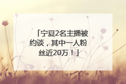 宁夏2名主播被约谈，其中一人粉丝近20万！