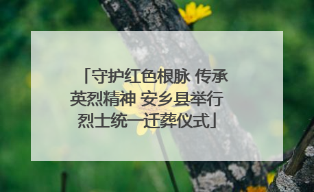守护红色根脉 传承英烈精神 安乡县举行烈士统一迁葬仪式
