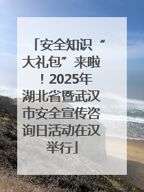 安全知识“大礼包”来啦！2025年湖北省暨武汉市安全宣传咨询日活动在汉举行