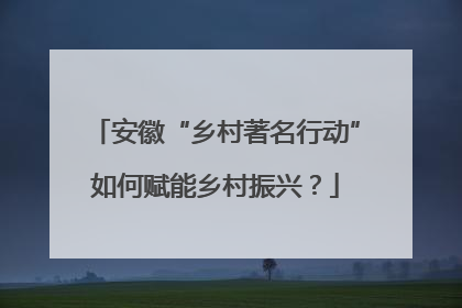 安徽“乡村著名行动”如何赋能乡村振兴？