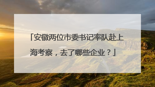安徽两位市委书记率队赴上海考察，去了哪些企业？