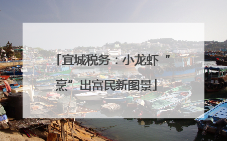 宜城税务：小龙虾“烹”出富民新图景