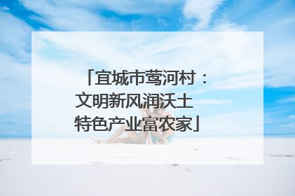 宜城市莺河村：文明新风润沃土 特色产业富农家