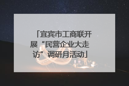 宜宾市工商联开展“民营企业大走访”调研月活动